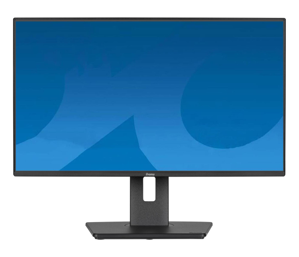 IIYAMA ProLite XB2492HSU-B1 - 1361884 - zdjęcie